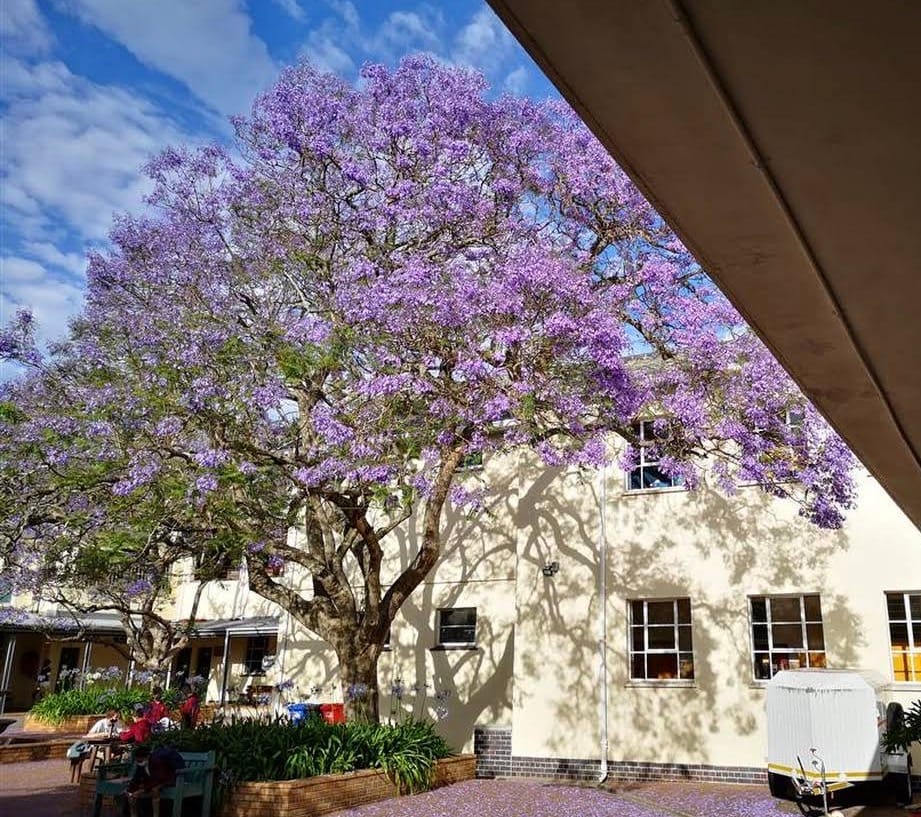 School sports facilities