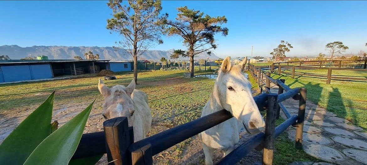 Primary school building