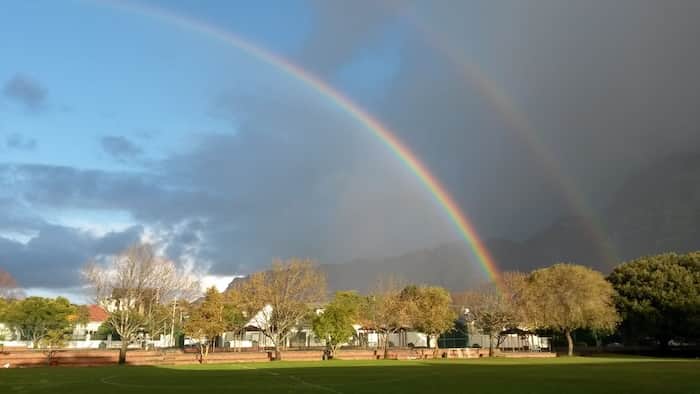 Grove Primary School image 3